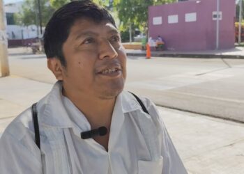 Drones fumigadores causan muerte de abejas meliponas