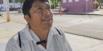 Drones fumigadores causan muerte de abejas meliponas