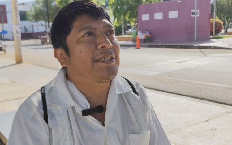 Drones fumigadores causan muerte de abejas meliponas