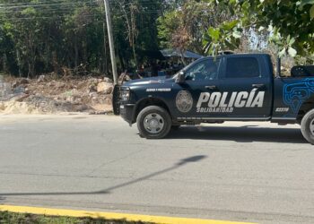 Bardean predio junto a invasión de Playa del Carmen, luego de descubrir ecocidio