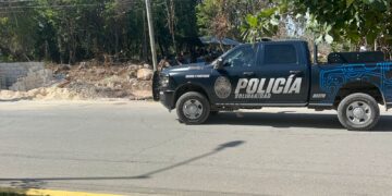 Bardean predio junto a invasión de Playa del Carmen, luego de descubrir ecocidio