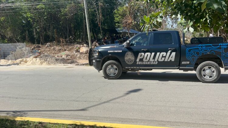 Bardean predio junto a invasión de Playa del Carmen, luego de descubrir ecocidio