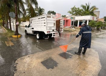 Activa Servicios Públicos de Puerto Morelos brigadas de limpieza por las intensas lluvias