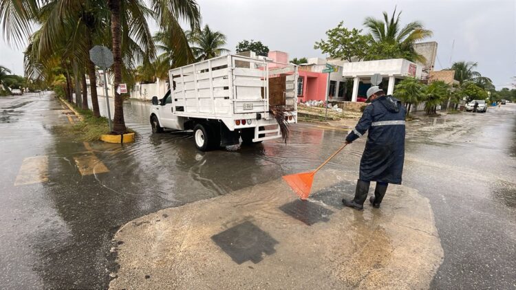 Activa Servicios Públicos de Puerto Morelos brigadas de limpieza por las intensas lluvias