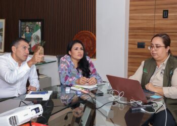 Puerto Morelos apuesta por un crecimiento con orden y apegado a la ley: Blanca Merari