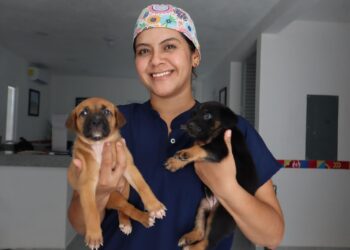 Centro de Bienestar Animal de Isla Mujeres brinda servicios accesibles para mascotas durante toda la semana