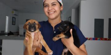 Centro de Bienestar Animal de Isla Mujeres brinda servicios accesibles para mascotas durante toda la semana