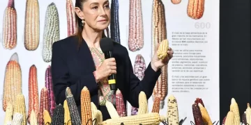 CSP anuncia plan para blindar variedades nativas de maíz; adelanta banco de germoplasma