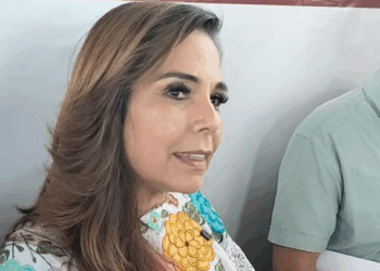 No se digitalizaba el registro público porque las zonas irregulares eran un negocio: Mara Lezama