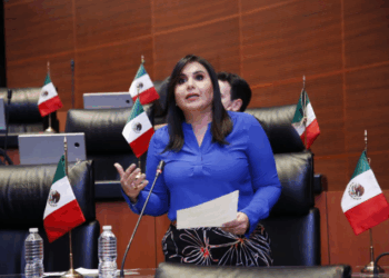 Mayuli Martínez pide a Semarnat y Profepa proteger a más de 100 delfines en disputa empresarial