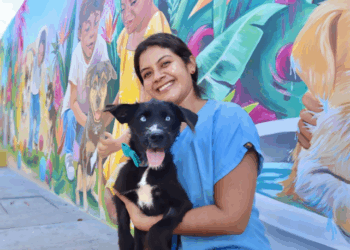 Gobierno de Isla Mujeres impulsa campaña de adopción de mascotas a través del nuevo Centro de Bienestar Animal