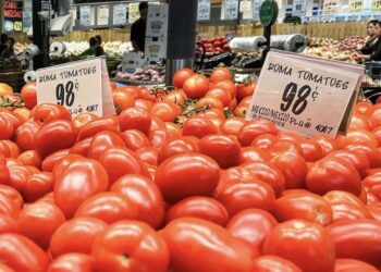 Cae exportación de agroalimentos por políticas de Trump