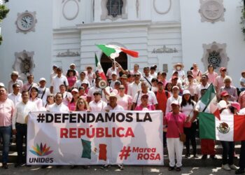 Marea Rosa lanza propuesta de reforma electoral: Necesitan 130 mil firmas para que sea discutida