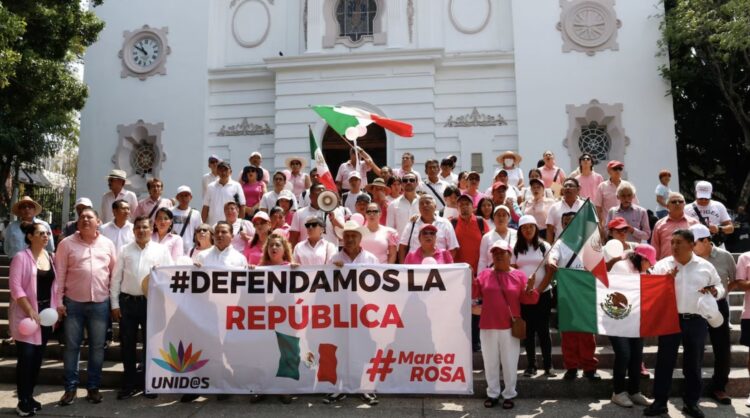 Marea Rosa lanza propuesta de reforma electoral: Necesitan 130 mil firmas para que sea discutida