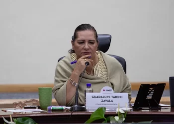 INE “no se niega al cambio”; es momento de debatir el costo de la democracia: Taddei