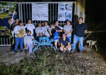 Gobierno Municipal realiza la Segunda Jornada de Protección y Rescate del Cangrejo Azul en Isla Mujeres