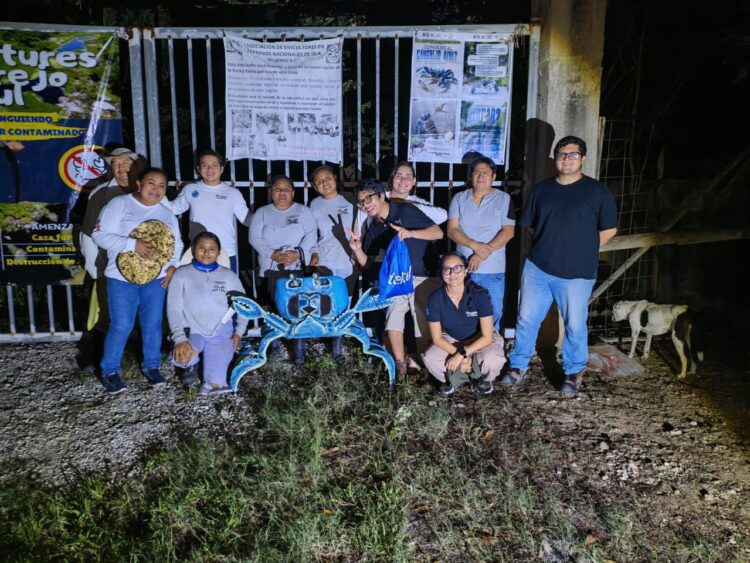 Gobierno Municipal realiza la Segunda Jornada de Protección y Rescate del Cangrejo Azul en Isla Mujeres