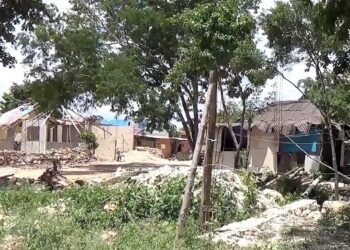 Estefanía Mercado pone a disposición una línea de asesoría jurídica para habitantes de zonas irregulares en Playa del Carmen