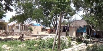 Estefanía Mercado pone a disposición una línea de asesoría jurídica para habitantes de zonas irregulares en Playa del Carmen