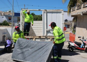 Concluye con éxito jornada de descacharrización en colonias de Isla Mujeres y Zona Continental
