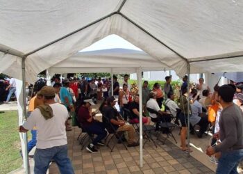 Reciben a 2 mil personas en programa de regularización de Playa del Carmen