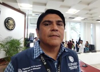 Sin problemas de invasiones, áreas protegidas de Playa del Carmen