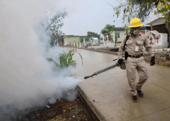 Lucha frontal contra el dengue en Playa del Carmen