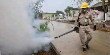 Lucha frontal contra el dengue en Playa del Carmen