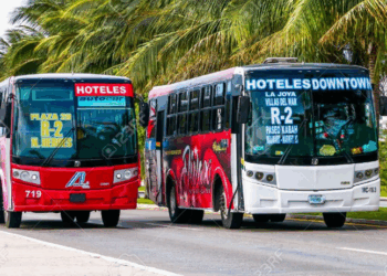 Realizará Imoveqroo encuesta de transporte en los 11 municipios este domingo