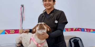 Gobierno de Isla Mujeres refuerza acciones para proteger a los animales