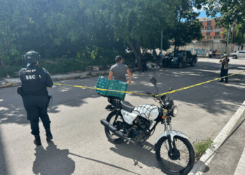 Rescatan a venado en la colonia Forjadores de Playa del Carmen