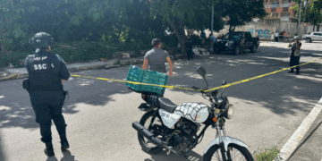 Rescatan a venado en la colonia Forjadores de Playa del Carmen
