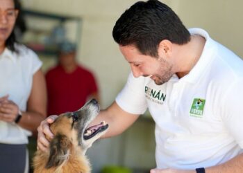 Renán Sánchez condena hallazgo de crematorio ilegal en Chetumal y anuncia propuesta de regulación nacional