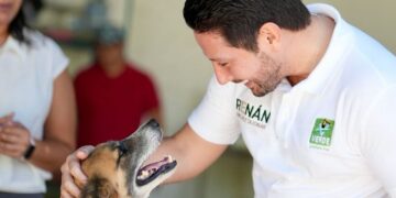 Renán Sánchez condena hallazgo de crematorio ilegal en Chetumal y anuncia propuesta de regulación nacional