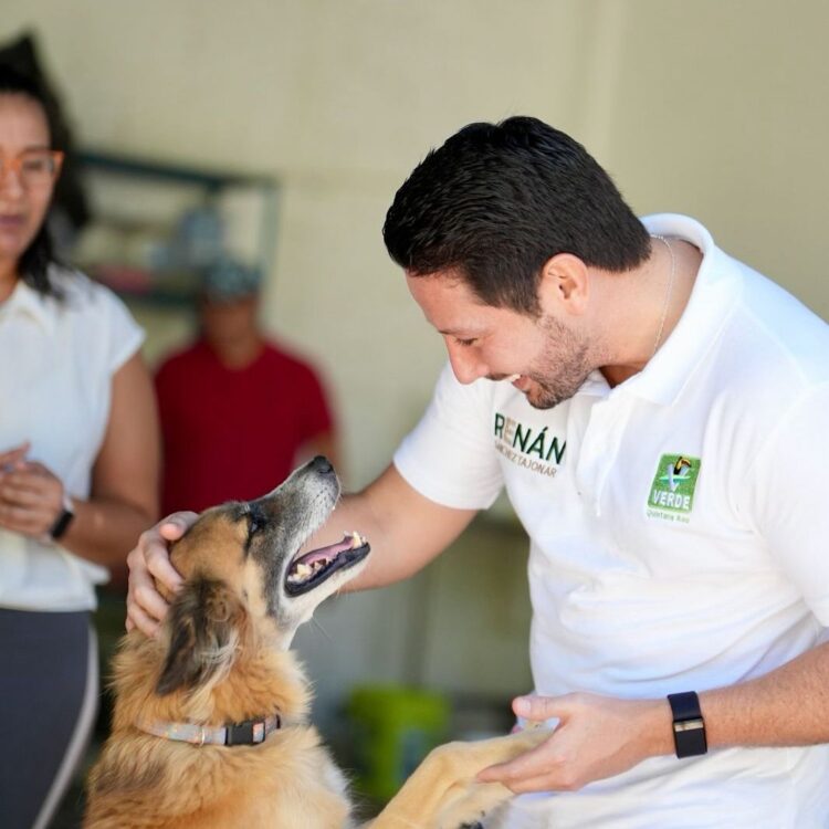 Renán Sánchez condena hallazgo de crematorio ilegal en Chetumal y anuncia propuesta de regulación nacional