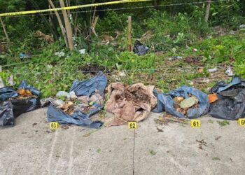 Arrancan inspecciones de crematorios animales en Quintana Roo