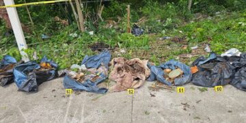 Arrancan inspecciones de crematorios animales en Quintana Roo