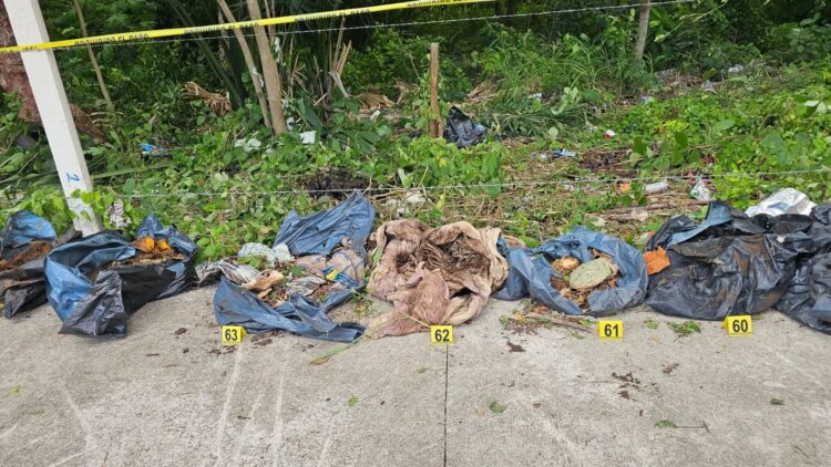 Arrancan inspecciones de crematorios animales en Quintana Roo