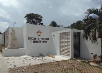 Confirma Ana Paty Peralta ‘omisiones’ en el Centro de Bienestar Animal