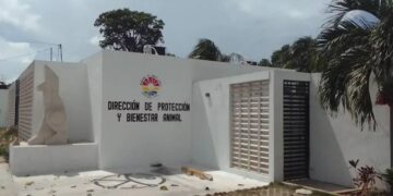 Confirma Ana Paty Peralta ‘omisiones’ en el Centro de Bienestar Animal