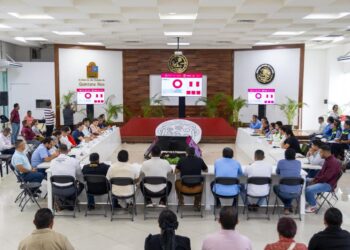 Gobierno de Playa del Carmen alerta sobre red de empresas clandestinas colgadas en postes de telefonía, electricidad y alumbrado público