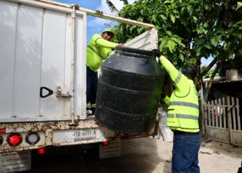 Gobierno de Isla Mujeres refuerza jornadas de descacharrización para proteger la salud de las familias