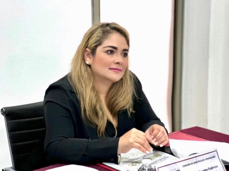 Ciudadanos piden participación y claridad en Sistema de Movilidad del Bienestar: Julia Fuentes