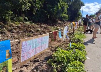 Protestan vecinos de Xcalacoco por deforestación de Bepensa