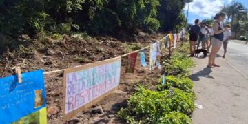 Protestan vecinos de Xcalacoco por deforestación de Bepensa