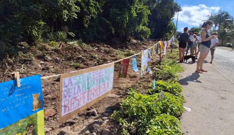 Protestan vecinos de Xcalacoco por deforestación de Bepensa