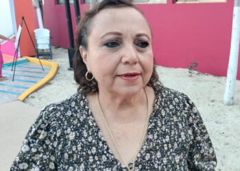 Colonias irregulares deben exigirle al ejidatario, no a gobierno: Alicia Ricalde