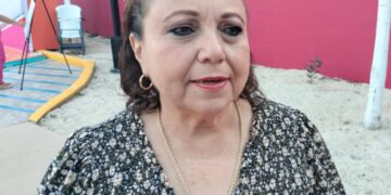Colonias irregulares deben exigirle al ejidatario, no a gobierno: Alicia Ricalde