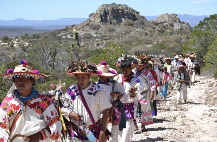Sedatu restituyó 9 mil hectáreas este año a pueblos originarios