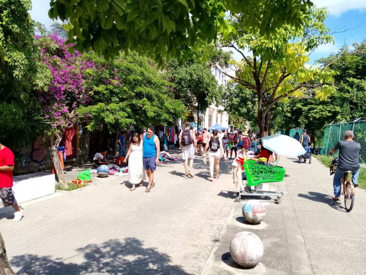 Denuncian llegada de tianguistas a la Quinta Avenida